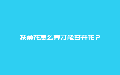 扶桑花怎么养才能多开花？