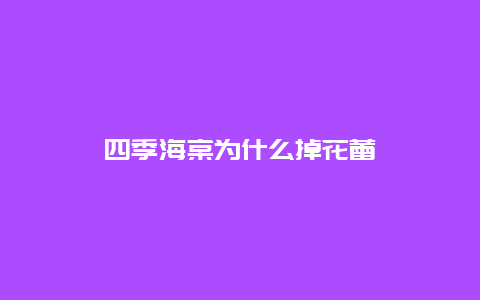 四季海棠为什么掉花蕾