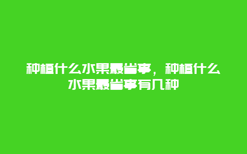 种植什么水果最省事，种植什么水果最省事有几种