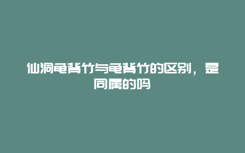 仙洞龟背竹与龟背竹的区别，是同属的吗