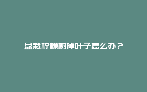 盆栽柠檬树掉叶子怎么办？