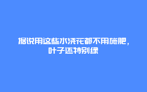 据说用这些水浇花都不用施肥，叶子还特别绿