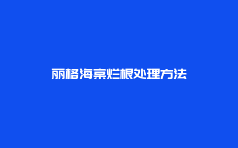 丽格海棠烂根处理方法