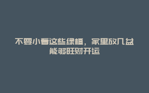 不要小看这些绿植，家里放几盆能够旺财开运