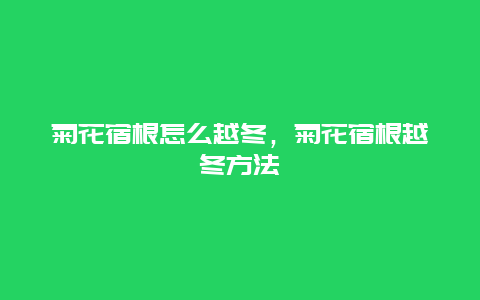 菊花宿根怎么越冬，菊花宿根越冬方法