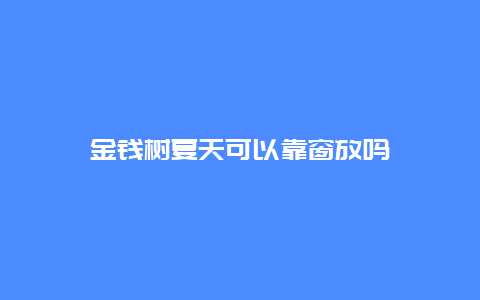 金钱树夏天可以靠窗放吗