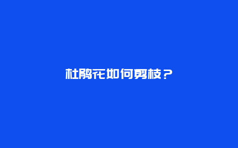 杜鹃花如何剪枝？