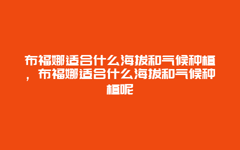 布福娜适合什么海拔和气候种植，布福娜适合什么海拔和气候种植呢