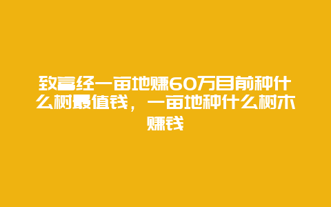 致富经一亩地赚60万目前种什么树最值钱，一亩地种什么树木赚钱