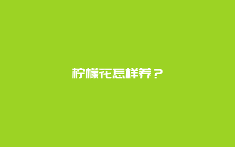 柠檬花怎样养？