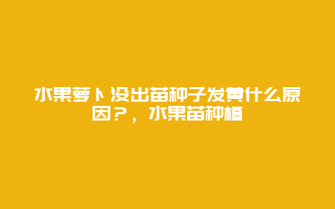 水果萝卜没出苗种子发黄什么原因？，水果苗种植