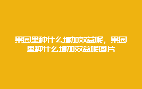 果园里种什么增加效益呢，果园里种什么增加效益呢图片