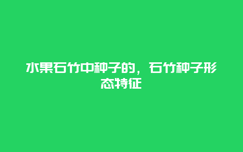 水果石竹中种子的，石竹种子形态特征