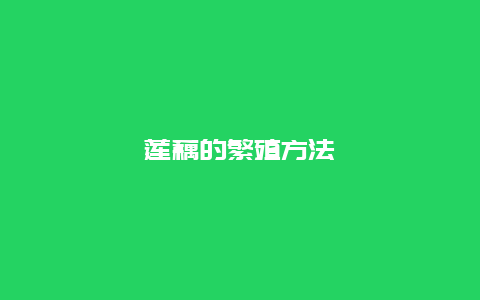 莲藕的繁殖方法