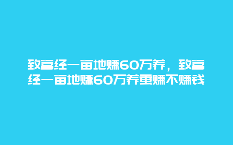 致富经一亩地赚60万养，致富经一亩地赚60万养蚕赚不赚钱