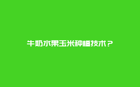 牛奶水果玉米种植技术？