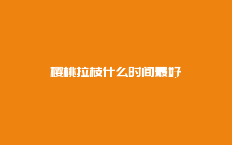 樱桃拉枝什么时间最好