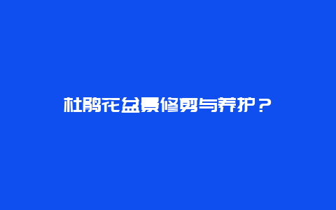 杜鹃花盆景修剪与养护？