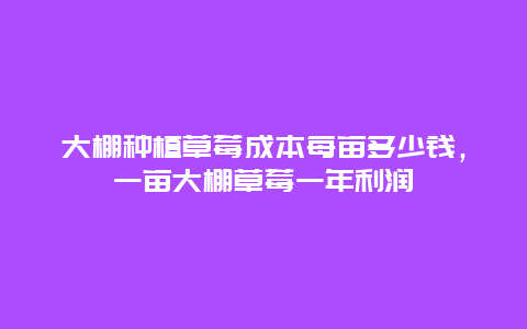 大棚种植草莓成本每亩多少钱，一亩大棚草莓一年利润