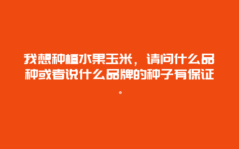 我想种植水果玉米，请问什么品种或者说什么品牌的种子有保证。