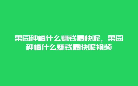 果园种植什么赚钱最快呢，果园种植什么赚钱最快呢视频