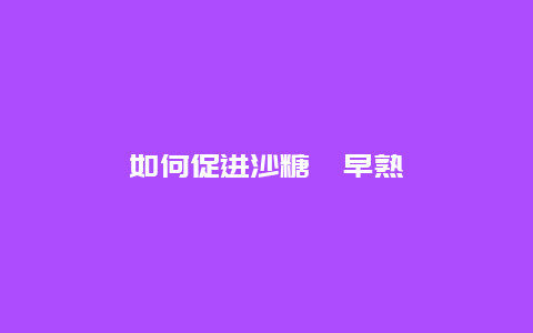 如何促进沙糖桔早熟