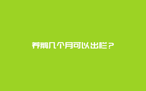 养鹅几个月可以出栏？