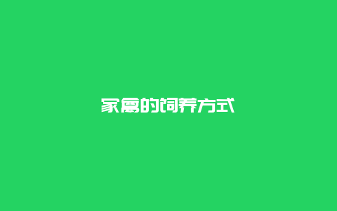 家禽的饲养方式