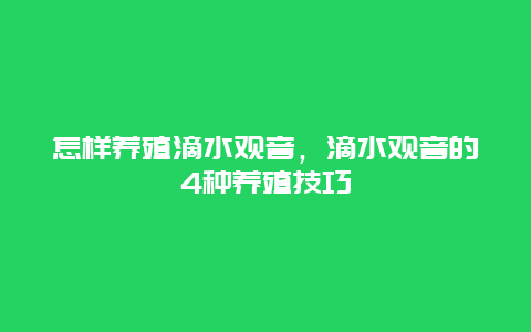 怎样养殖滴水观音，滴水观音的4种养殖技巧