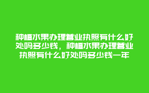 种植水果办理营业执照有什么好处吗多少钱，种植水果办理营业执照有什么好处吗多少钱一年