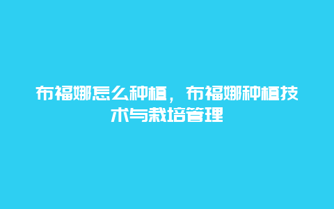 布福娜怎么种植，布福娜种植技术与栽培管理