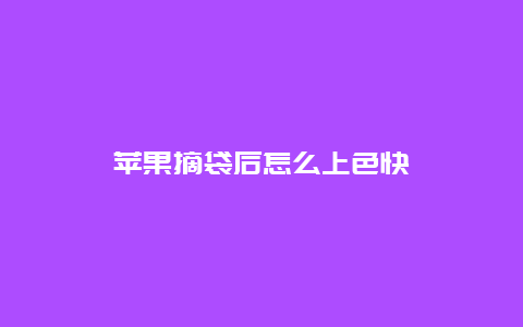 苹果摘袋后怎么上色快