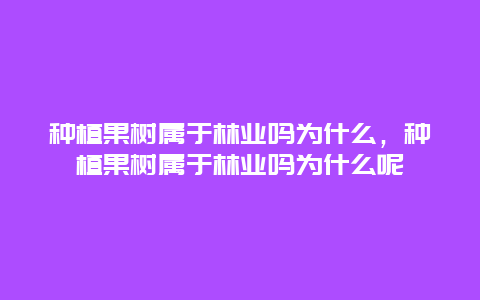 种植果树属于林业吗为什么，种植果树属于林业吗为什么呢