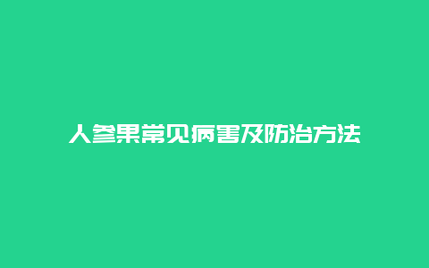 人参果常见病害及防治方法