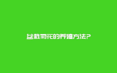 盆栽菊花的养殖方法?