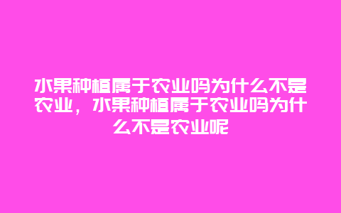 水果种植属于农业吗为什么不是农业，水果种植属于农业吗为什么不是农业呢