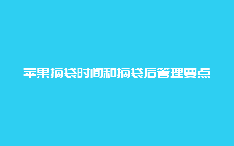 苹果摘袋时间和摘袋后管理要点