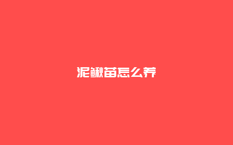 泥鳅苗怎么养