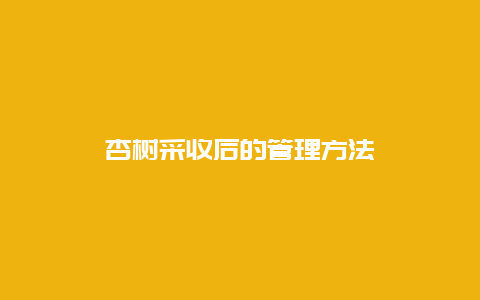 杏树采收后的管理方法