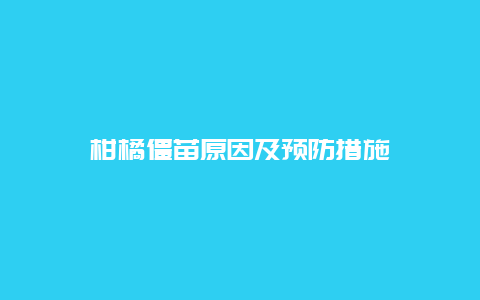 柑橘僵苗原因及预防措施