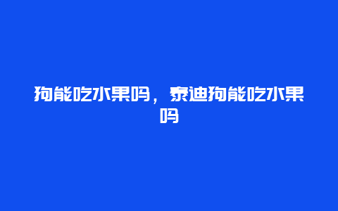 狗能吃水果吗，泰迪狗能吃水果吗