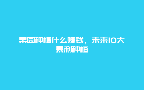 果园种植什么赚钱，未来10大暴利种植