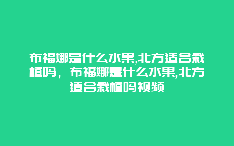 布福娜是什么水果,北方适合栽植吗，布福娜是什么水果,北方适合栽植吗视频