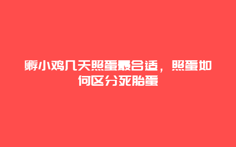 孵小鸡几天照蛋最合适，照蛋如何区分死胎蛋