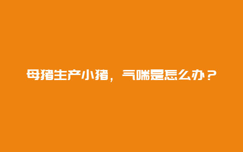 母猪生产小猪，气喘是怎么办？