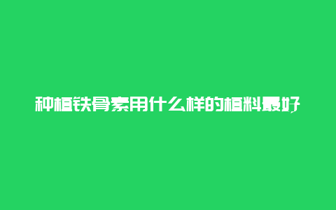 种植铁骨素用什么样的植料最好