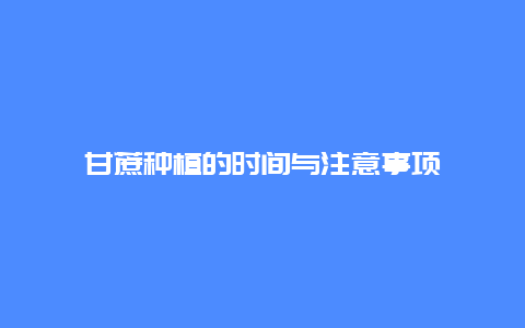 甘蔗种植的时间与注意事项