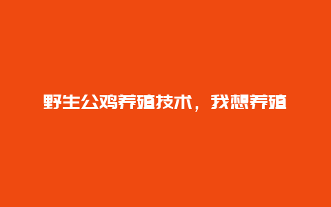 野生公鸡养殖技术，我想养殖