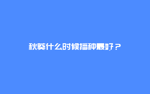 秋葵什么时候播种最好？