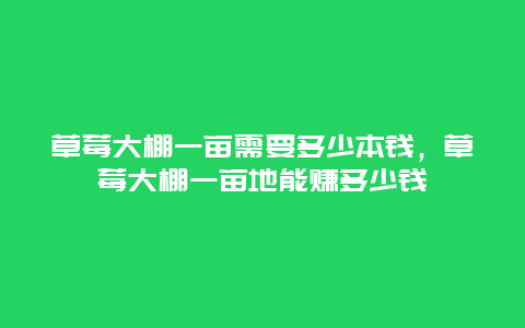 草莓大棚一亩需要多少本钱，草莓大棚一亩地能赚多少钱